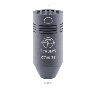 CCM21